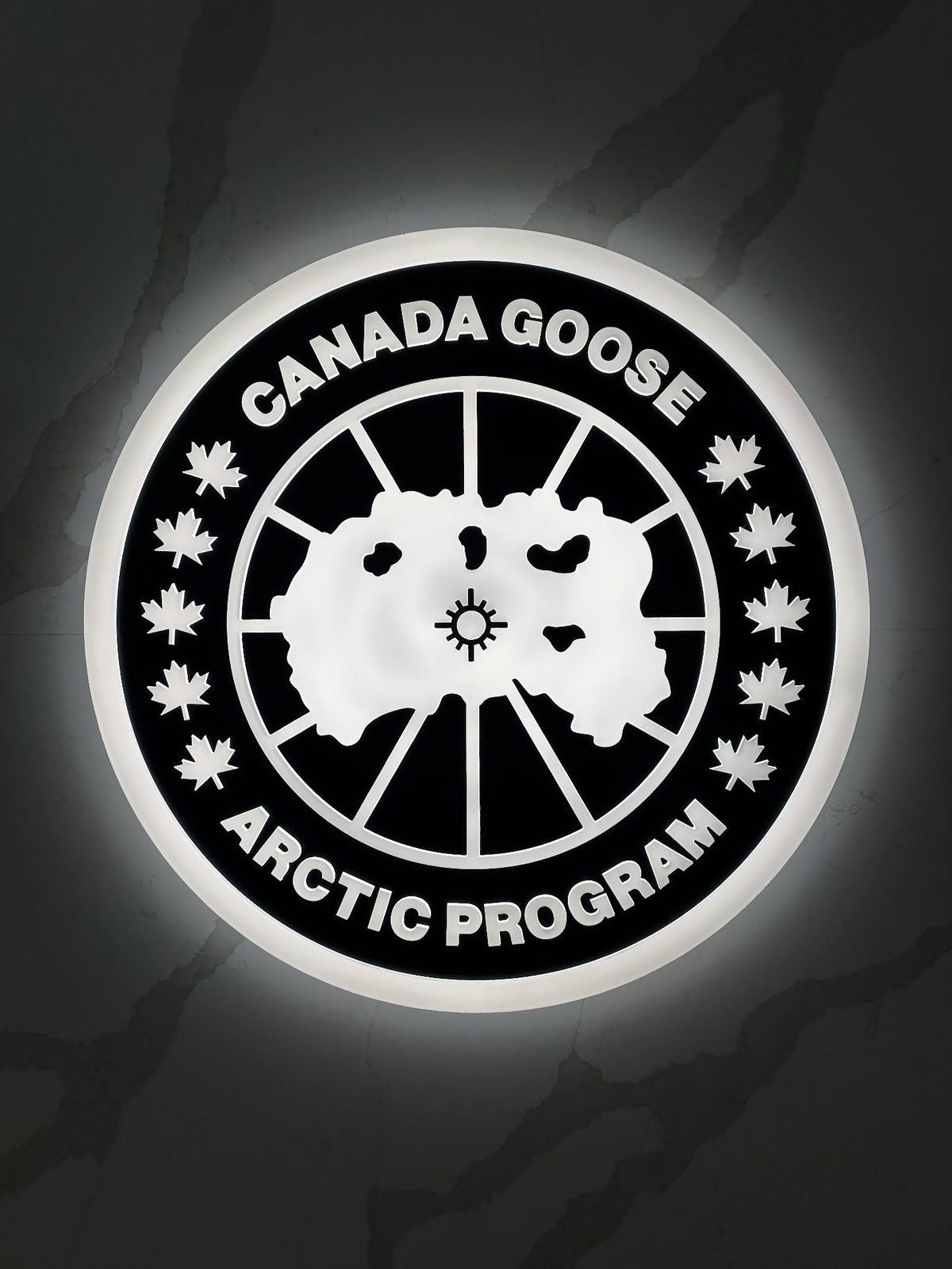 Canada Goose Doudounes