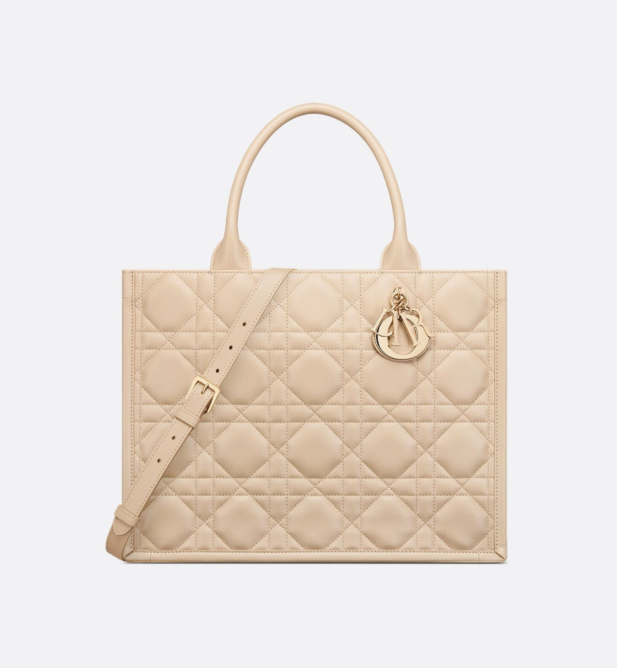 Sac Dior Book Tote Medium