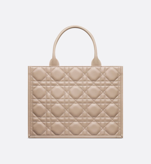 Sac Dior Book Tote Medium