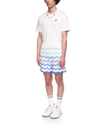 Wavy Gradient Crochet Shorts