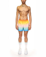 Gradient Swim Trunks