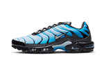 Nike® Air Max Plus Blue Gradient